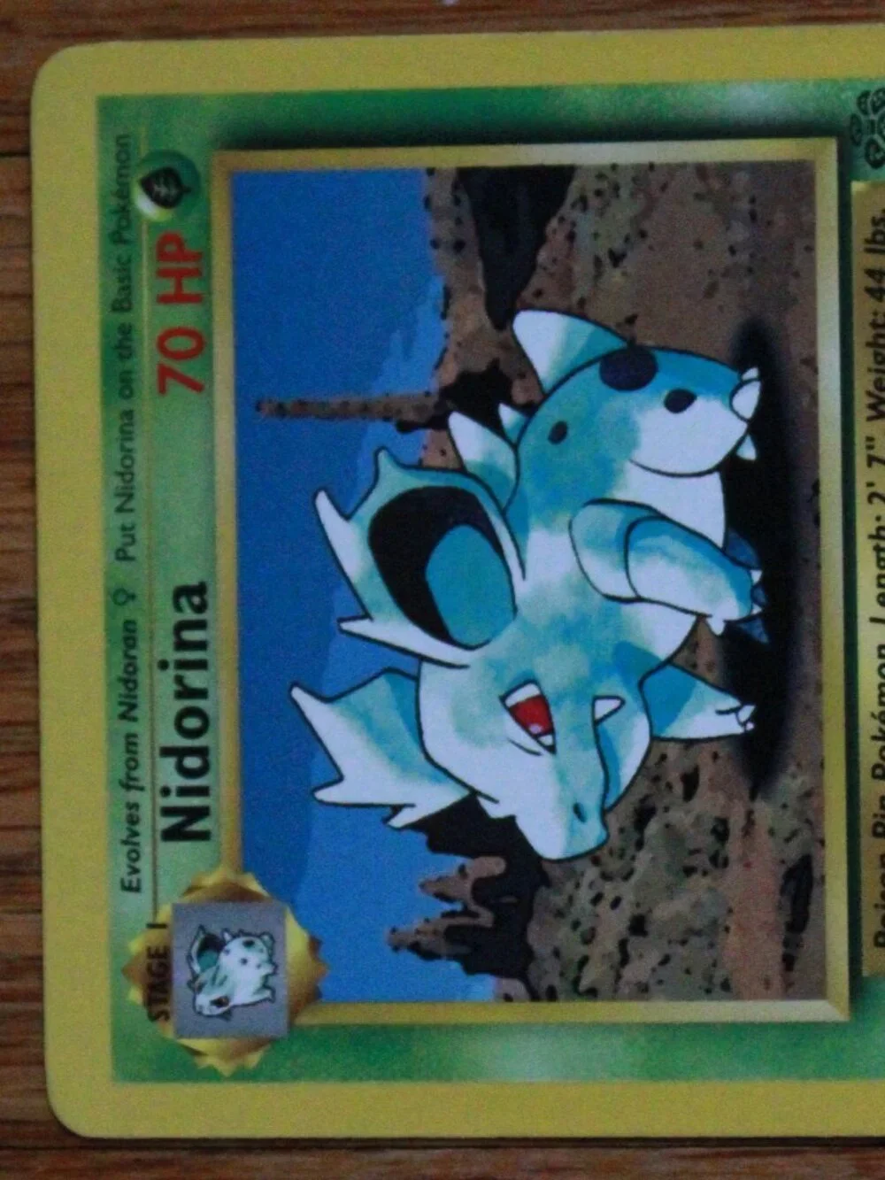 Vintage Pokemon 1999 